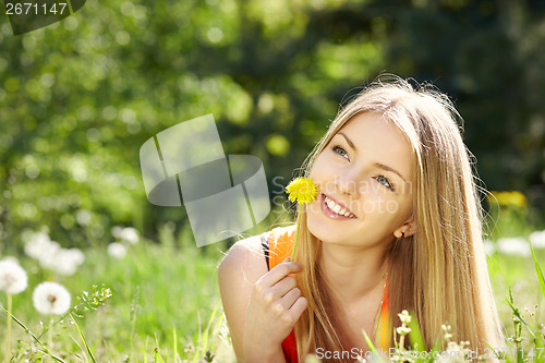 Image of Spring girl lying on the field of dandelions