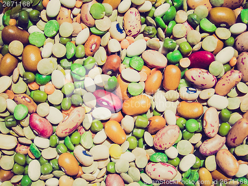 Image of Retro look Beans salad