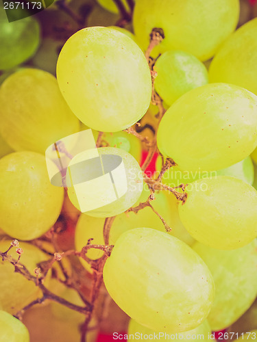 Image of Retro look Grape