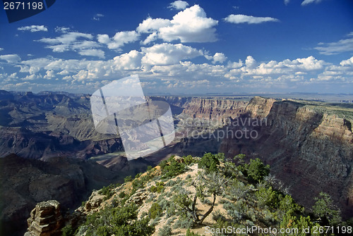 Image of Grand Canyon