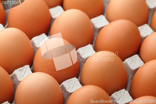 Image of Brown egg in paper package