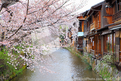 Image of Kyoto wooden house and sakura