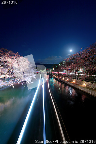 Image of Biwa lake canal with sakura tree