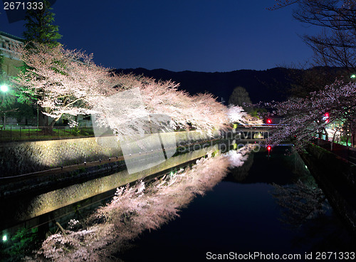 Image of Biwa lake canal with sakura tree at night