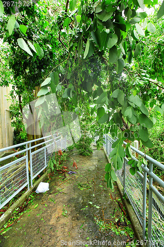 Image of Park after typhoon