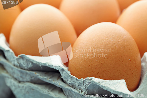 Image of Brown egg