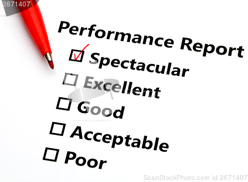 Image of Performance report