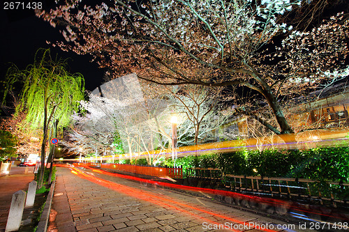 Image of Gion with sakura trss at night