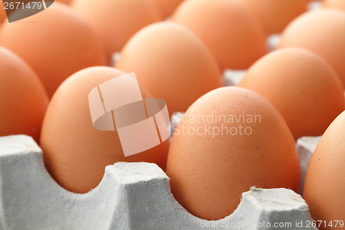 Image of Brown egg in paper package close up