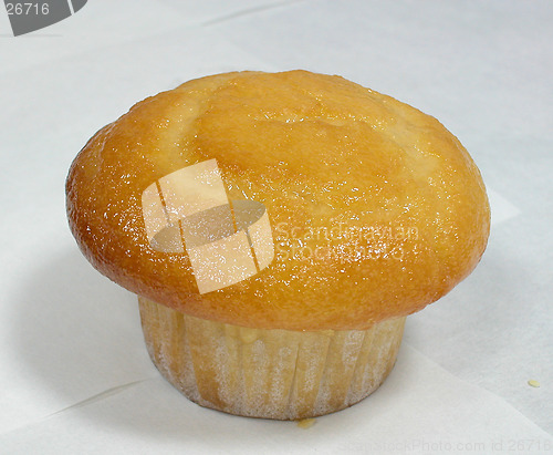 Image of Muffin