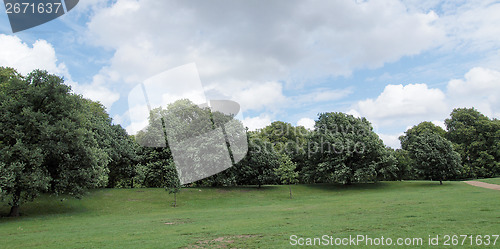 Image of Kensington gardens London