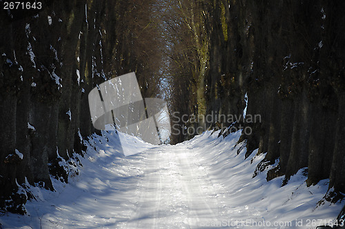 Image of Pathway at winter