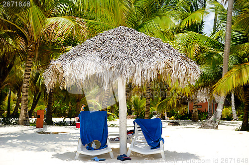 Image of Paradise beach with palms and sunbeds