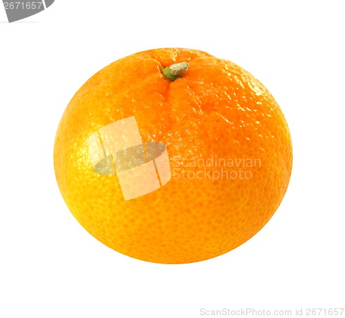 Image of orange