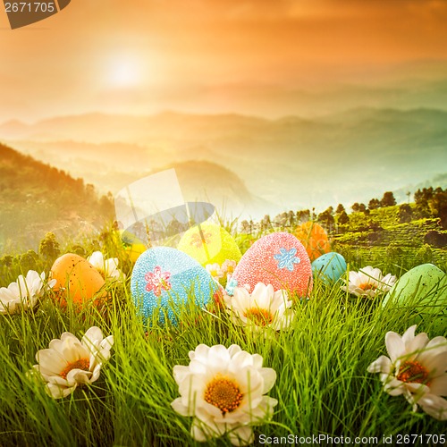 Image of Decorated easter eggs