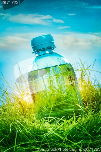 Image of Water bottle on the grass