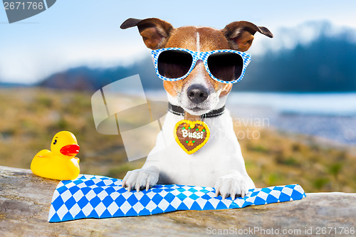 Image of oktoberfest dog 