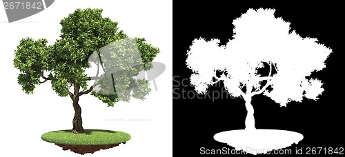 Image of Green Tree with Detail Raster Mask.