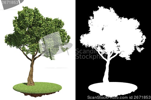 Image of Green Garden Tree Isolated on White.