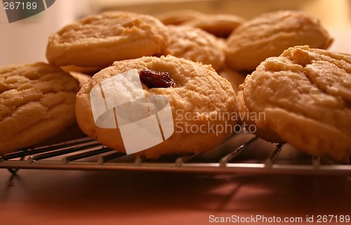 Image of Fresh Cookies