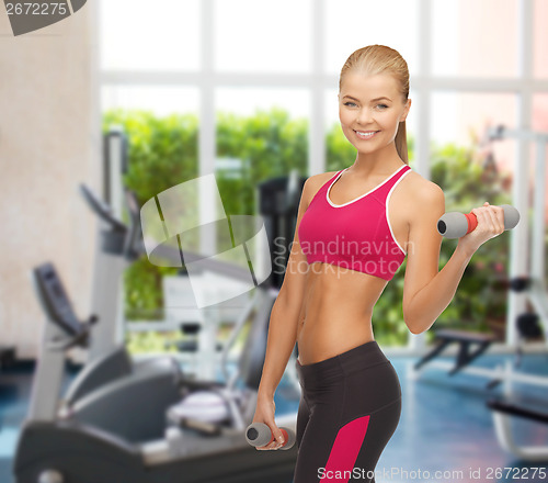 Image of young sporty woman with light dumbbells