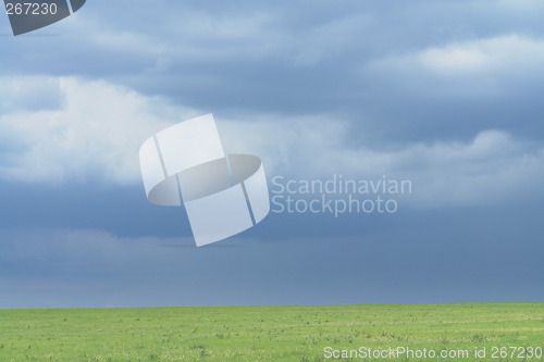 Image of Uncultivated farm land