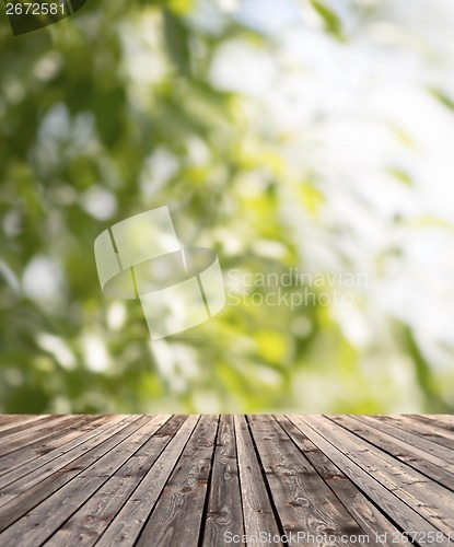 Image of wooden floor and green plants