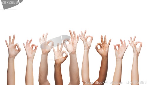 Image of human hands showing ok sign