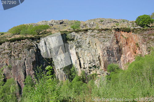 Image of trees on a mountains