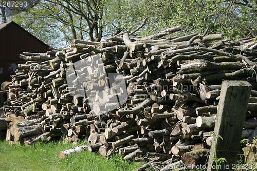 Image of large stack of tree logs