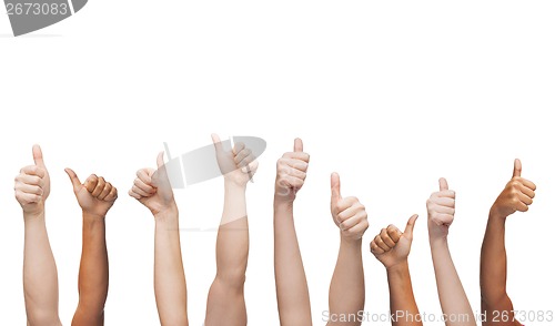 Image of human hands showing thumbs up