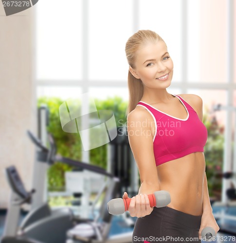 Image of young sporty woman with light dumbbells