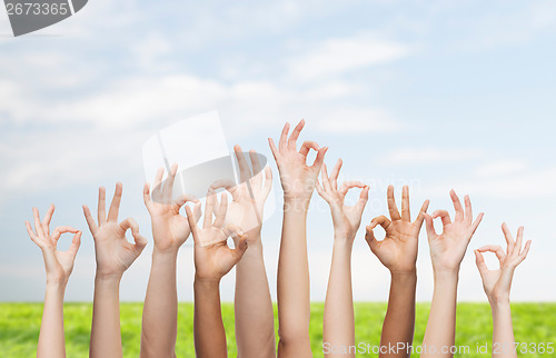 Image of human hands showing ok sign