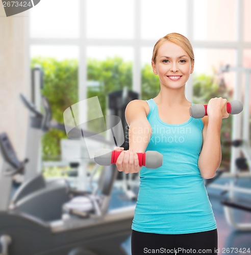 Image of young sporty woman with light dumbbells