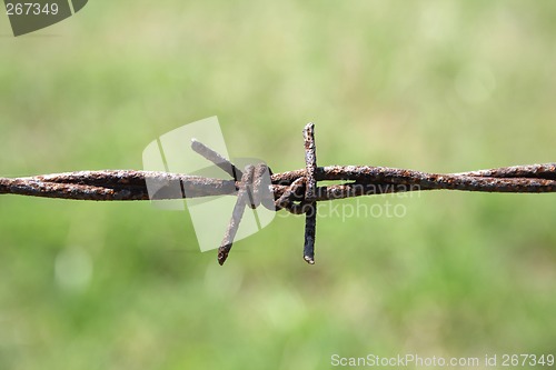 Image of Closeup of rusty barbed wire