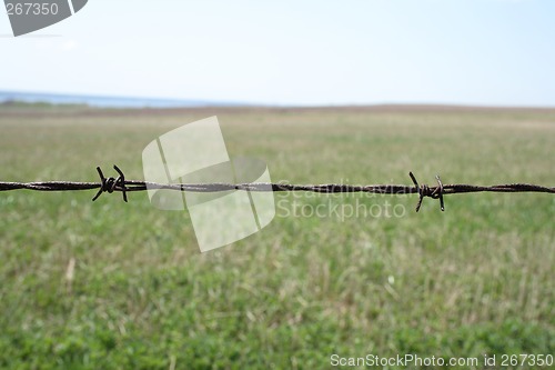 Image of Rusty barbed wire fence detail