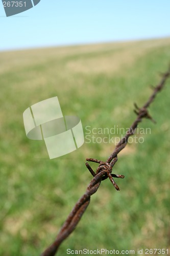 Image of Rusty barbed wire in the field