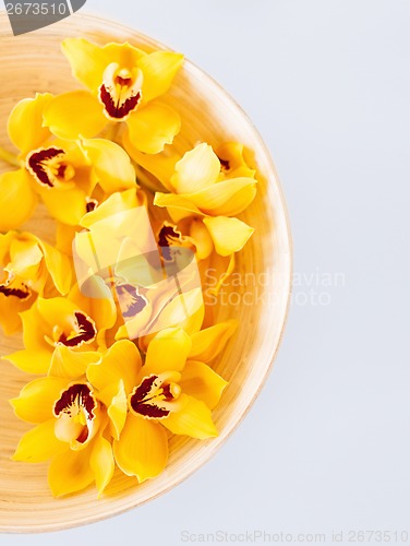Image of closeup of wooden bowl with orchid flowers