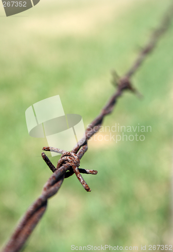 Image of Detail of rusty barbed wire