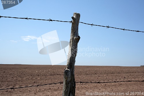 Image of Barbed wire farm fence