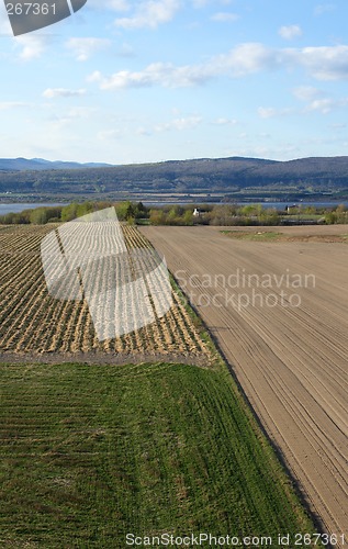 Image of Cultivated farmland in spring