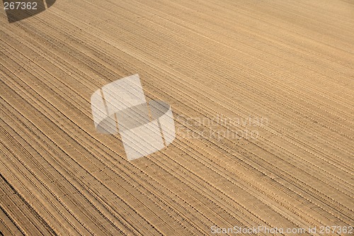 Image of Ploughed land ready for cultivation