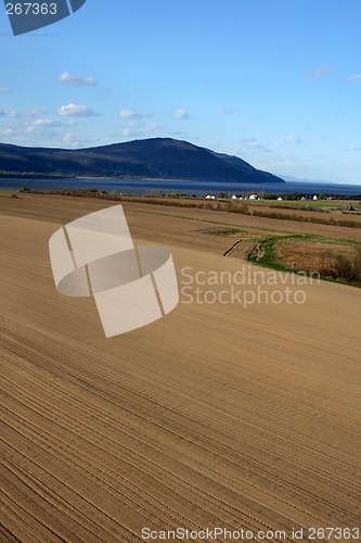 Image of Spacious ploughed land ready for cultivation