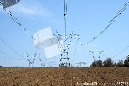 Image of Electricity pylons in farmland