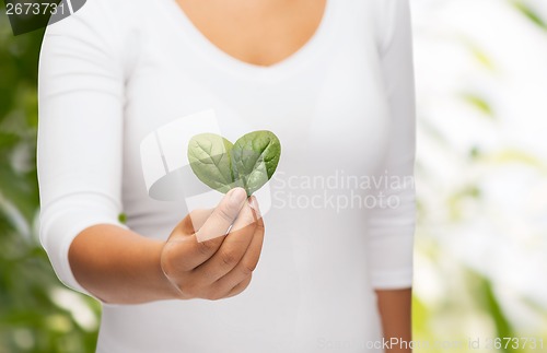 Image of closeup woman hand with green sprout