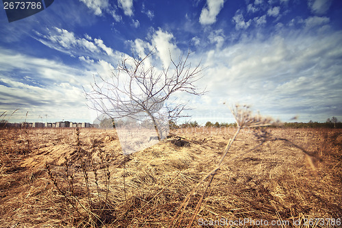 Image of Nature landscape with instagram filter