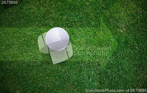 Image of Golf Background