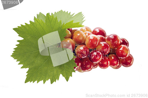 Image of Ripe grapes with leaf