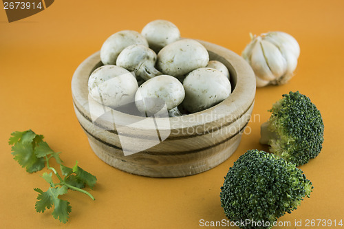 Image of Fresh vegetable