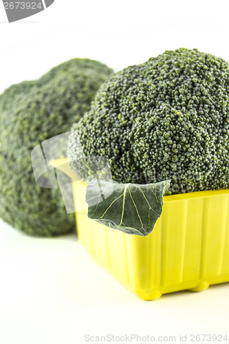 Image of Fresh broccoli